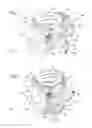 Fig. 02 - Convertible check valve