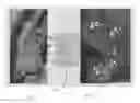 Fig. 01 - ENVIRONMENTAL ANALYSIS