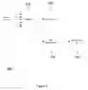 Fig. 07 - ENVIRONMENTAL ANALYSIS