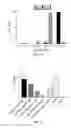 Fig. 06 - System and method for multiplexed affinity purification of proteins and cells
