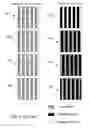 Fig. 09 - Single X-ray grating X-ray differential phase contrast imaging system