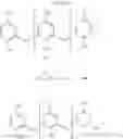 Fig. 67 - P-nitrophenole-formaldehyde polycondensate for measurement, method of production and use