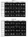 Fig. 06 - AMINE COMPOUND SENSING MARKER
