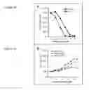 Fig. 02 - Neuroprotective Chemicals and Methods for Identifying and Using Same