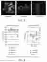 Fig. 06 - TISSUE-MIMICKING HYDROGEL COMPOSITIONS FOR BIOFABRICATION