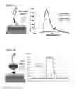 Fig. 02 - IMMUNOASSAYS FOR THE DIFFERENTIATION OF BACTERIAL PATHOGENS IN HUMAN SERUM