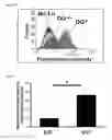 Fig. 09 - COMPOUNDS THAT BIND DYSTROGLYCAN AND USES THEREOF