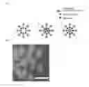 Fig. 02 - KIT FOR DETECTING VIRUS