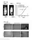 Fig. 08 - Compositions and methods for treating malignancies