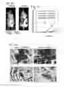 Fig. 09 - Compositions and methods for treating malignancies