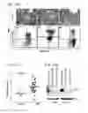 Fig. 32 - Compositions and methods for treating malignancies