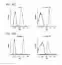 Fig. 37 - Compositions and methods for treating malignancies