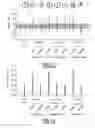 Fig. 22 - Method of analyzing the content of drops and associated apparatus