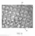 Fig. 07 - LIGHT REDIRECTING FILM CONSTRUCTIONS AND METHODS OF MAKING SAME