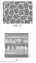 Fig. 17 - LIGHT REDIRECTING FILM CONSTRUCTIONS AND METHODS OF MAKING SAME