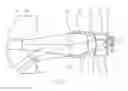 Fig. 08 - Optical image capturing system