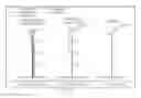 Fig. 09 - Optical image capturing system