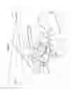 Fig. 02 - Vehicular head-up display device