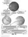 Fig. 20 - PUPILLARY RESPONSE FEEDBACK EYEWEAR