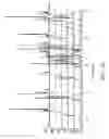 Fig. 06 - Nonlinear optical crystal and manufacturing method thereof