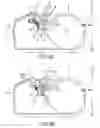 Fig. 06 - Printer