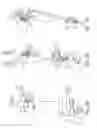 Fig. 30 - Signal generation and detector systems and methods for determining positions of fingers of a user