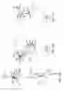 Fig. 31 - Signal generation and detector systems and methods for determining positions of fingers of a user