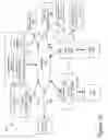 Fig. 02 - Displaying a Stream of Content