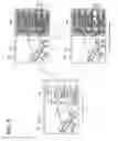Fig. 09 - Display device and method of operating the same