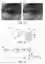 Fig. 08 - Eye contact correction in real time using neural network based machine learning