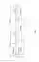 Fig. 06 - Long medium