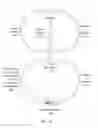 Fig. 10 - Virtual photorealistic digital actor system for remote service of customers