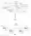 Fig. 12 - Virtual photorealistic digital actor system for remote service of customers