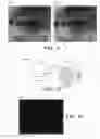 Fig. 08 - Eye contact correction in real time using machine learning