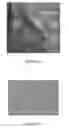 Fig. 09 - METHOD AND SYSTEM FOR PROCESSING AN IMAGE FRAME SHOWING A BIODEGRADABLE MEDICAL DEVICE IN A PART OF A HUMAN BODY