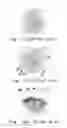Fig. 02 - Device and method for finding cell nucleus of target cell from cell image