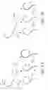 Fig. 08 - Beautifying freeform drawings