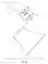 Fig. 07 - Bachi for a shamisen