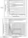Fig. 09 - Multi charged particle beam irradiation apparatus, multi charged particle beam irradiation method, and multi charged particle beam adjustment method