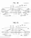 Fig. 41 - Manufacturing method of semiconductor device and semiconductor device