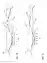 Fig. 09 - Sideward emitting luminescent structures and illumination device comprising such luminescent structures