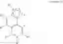 Fig. 07 - METAL COMPLEXES