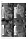 Fig. 02 - Active material for all-solid lithium secondary battery, method for manufacturing same, and all-solid lithium secondary battery comprising same