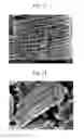 Fig. 09 - MSix-containing silicon material (M is at least one element selected from group 3 to 9 elements. ⅓<=x<=3) and method for producing same
