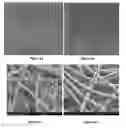 Fig. 02 - High-capacity silicon nanowire based anode for lithium-ion batteries