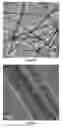 Fig. 04 - High-capacity silicon nanowire based anode for lithium-ion batteries