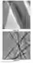Fig. 06 - High-capacity silicon nanowire based anode for lithium-ion batteries