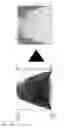 Fig. 02 - Positive electrode active material for lithium secondary battery, method of preparing the same and lithium secondary battery including the same