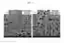 Fig. 07 - Device and method for manufacturing membrane-electrode assembly of fuel cell
