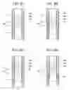 Fig. 09 - Fuel cell device